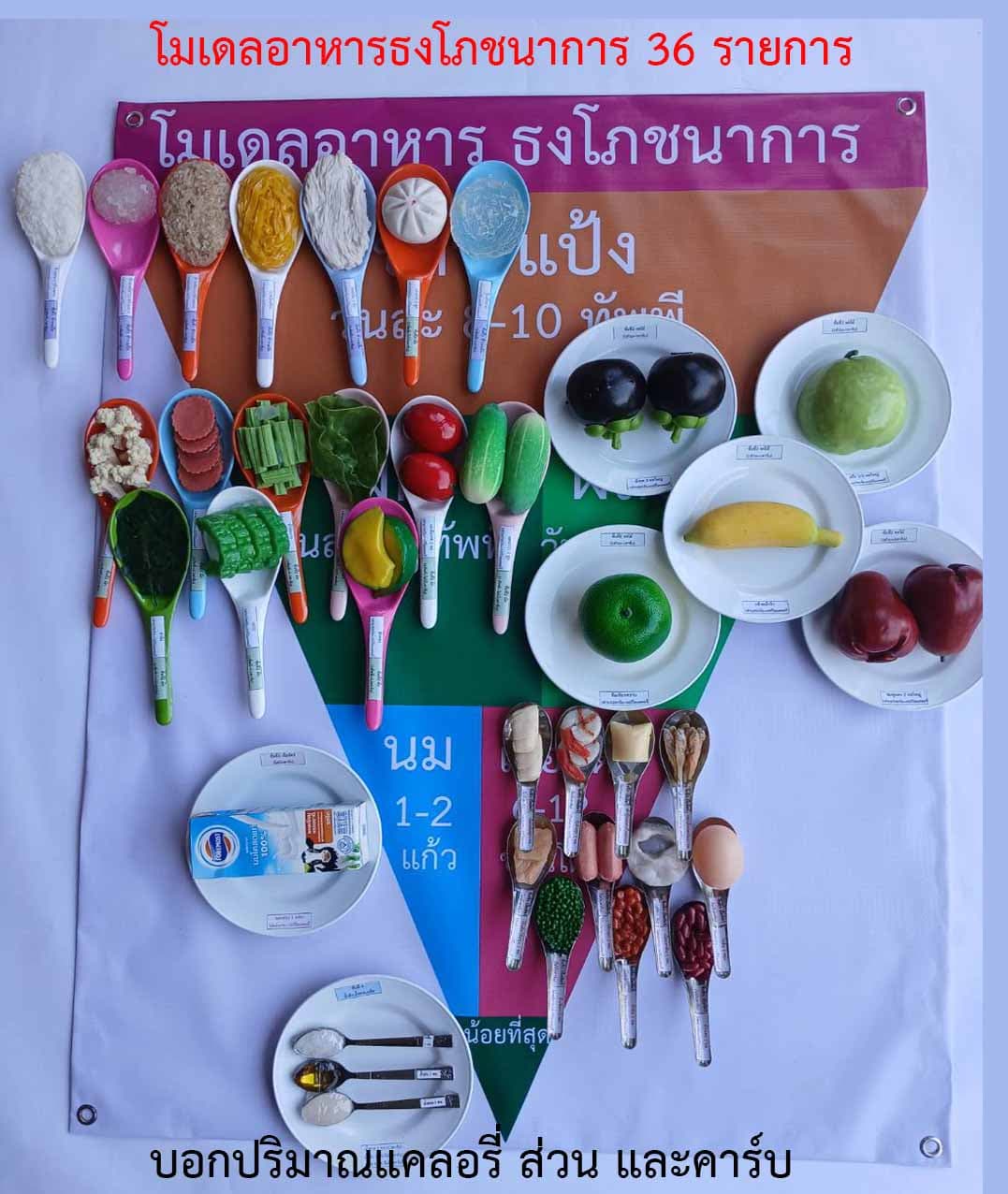 โมเดลอาหารธงโภชนาการ 36 รายการ (ชุดเล็ก) โรคเรื้อรัง NCDs รู้จักนับคาร์บ