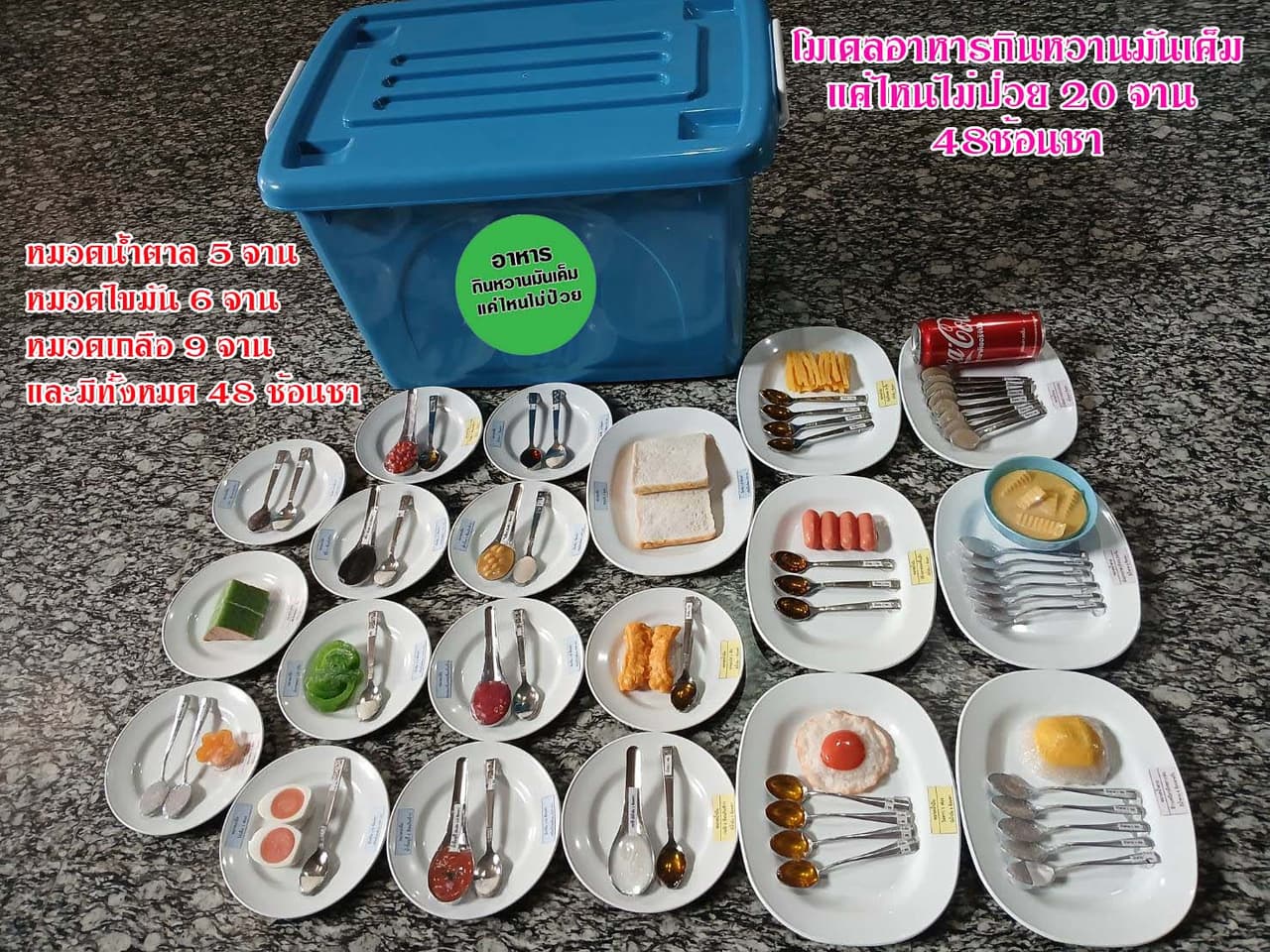 โมเดลอาหารกินหวานมันเค็มแค่ไหนไม่ป่วย 20 จาน 48 ช้อนชา