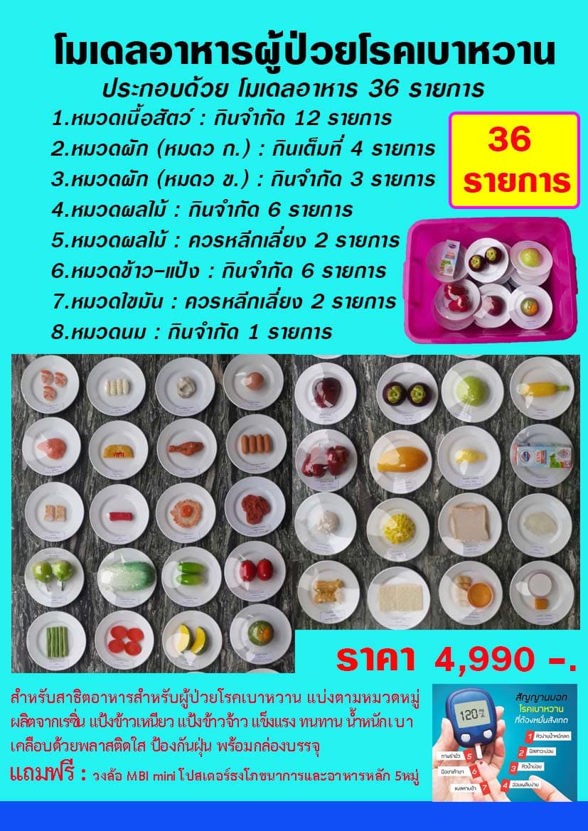 โมเดลอาหารผู้ป่วยโรคเบาหวาน 36 รายการ